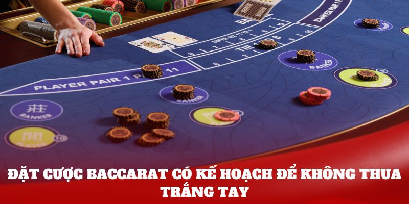 Đặt cược Baccarat có kế hoạch để không thua trắng tay