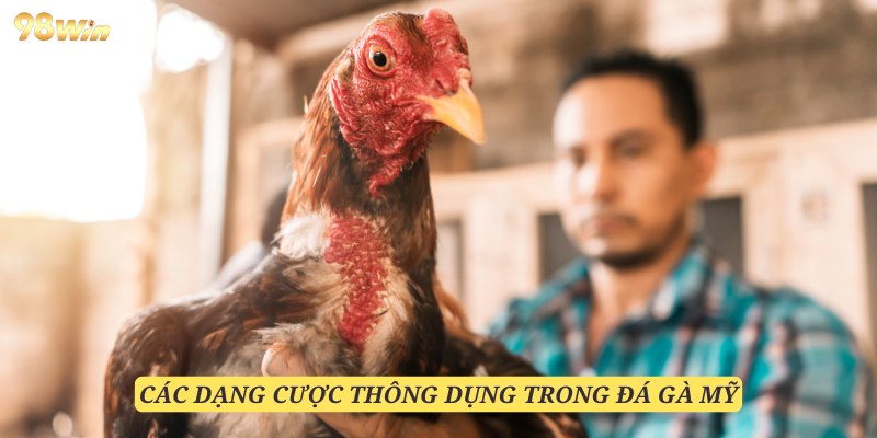 Những dạng cược quen thuộc được đông đảo người chơi ưa thích